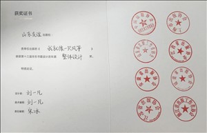 2024年12月，《我就像一只风筝》项目获评第十三届华东书籍设计双年展整体设计奖。